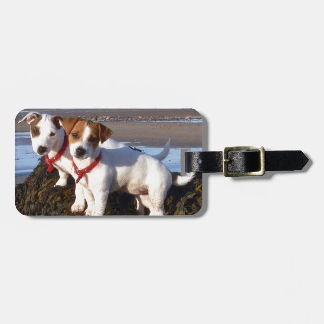 Etiqueta Para Maletas Perritos de Jack Russell (Frente Horizontal)