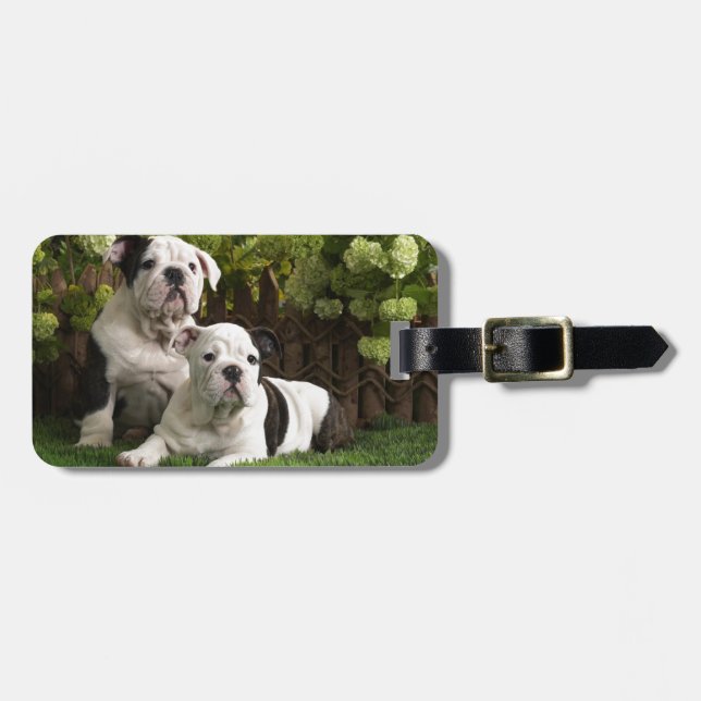 Etiqueta Para Maletas Perritos ingleses del bulldog (Frente Horizontal)