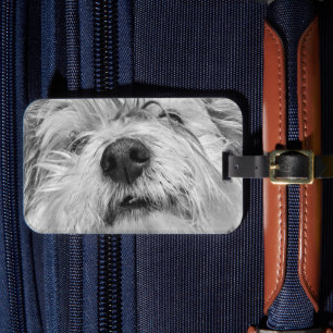 Etiqueta Para Maletas Perro Coton de Tulear