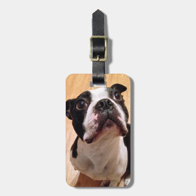 Etiqueta Para Maletas Perro de Boston Terrier (Frente Vertical)