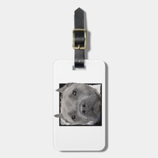 Etiqueta Para Maletas Perro de Pitbull