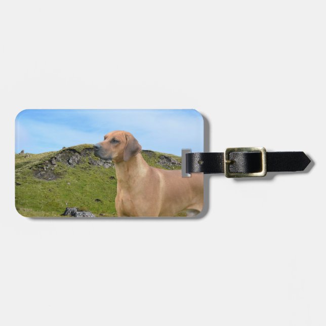 Etiqueta Para Maletas Perro dulce de Rhodesian Ridgeback (Frente Horizontal)