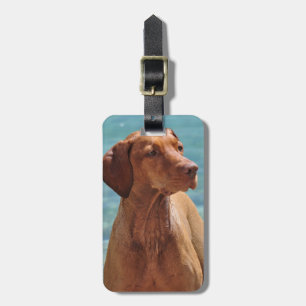 Etiqueta Para Maletas Perro Magyar Vizsla