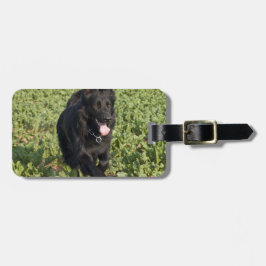 Etiqueta Para Maletas Perro Negro