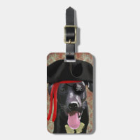 Perro pirata del labrador negro