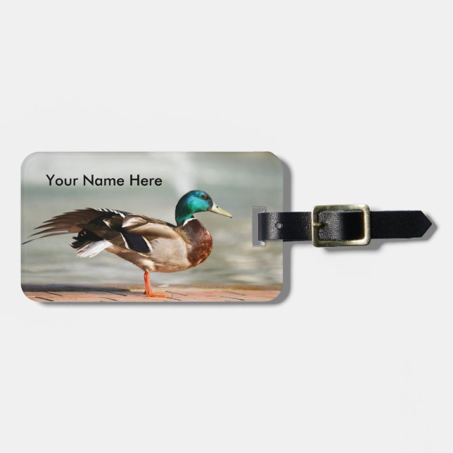 Etiqueta Para Maletas Personalizable Male Mallard Duck (Frente Horizontal)