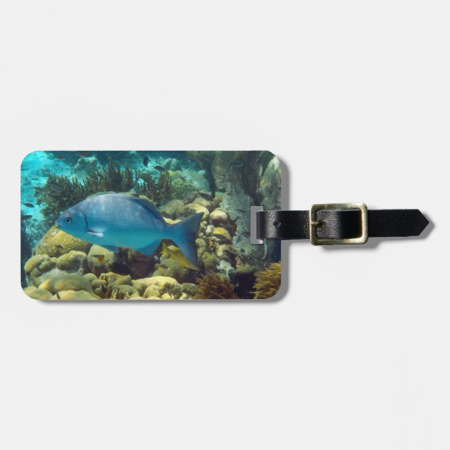 Etiqueta Para Maletas Personalizado de los pescados del filón (Frente Horizontal)
