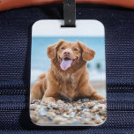 Etiqueta Para Maletas Personalizado fotográfico personalizado 2 crea tu<br><div class="desc">Personalizado de la etiqueta del equipaje de la foto de su mejor amigo. Crea un regalo divertido para tu amante de los perros, mamá de los perros o papá de los perros. Ya sea su Día de la Madre, el Día del Padre, un cumpleaños o Navidades, estas etiquetas de equipaje...</div>