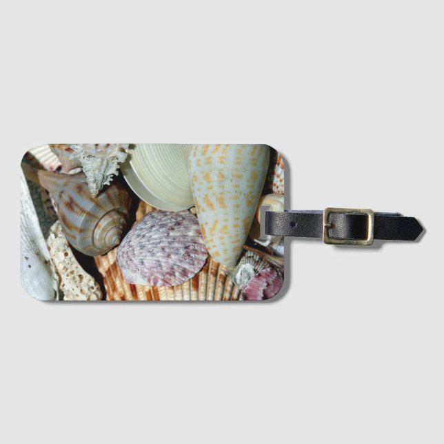 Etiqueta Para Maletas Personalized Beach Seashells Photo (Anverso horizontal)