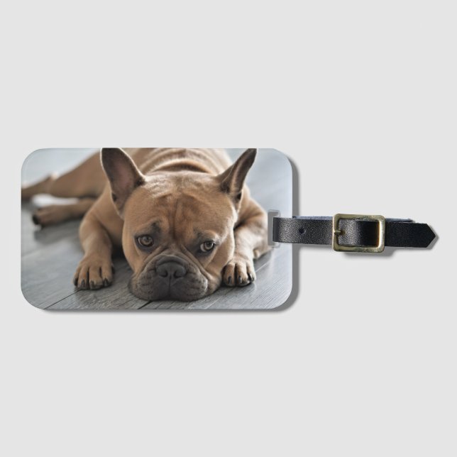 Etiqueta Para Maletas Personalized Pet Dog Photo (Anverso horizontal)