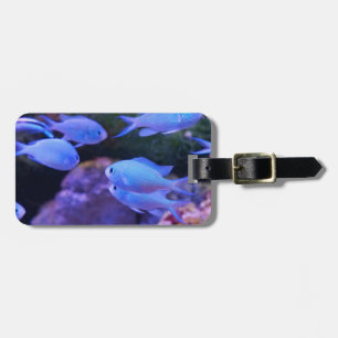 Etiqueta Para Maletas Pescado azul tropical