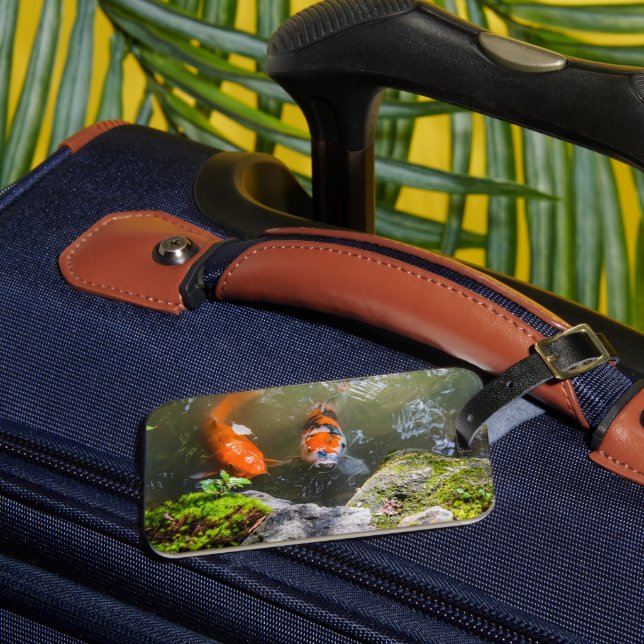 Etiqueta Para Maletas Pescado de Koi en un estanque (Anverso In situ 3)