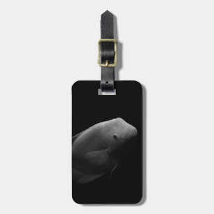 Etiqueta Para Maletas Pescado en tanque - Fotografía de arte blanco y ne
