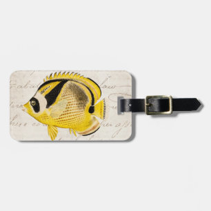 Etiqueta Para Maletas Pescados de la mariposa del mapache del vintage -