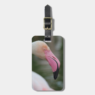 Etiqueta Para Maletas Phoenicopterus roseus