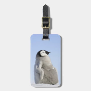 Etiqueta Para Maletas Pingüino de emperador del bebé, isla de la colina
