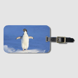 Etiqueta Para Maletas Pingüino gracioso en foto de hielo