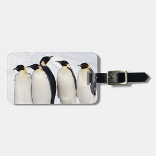 Etiqueta Para Maletas Pingüinos de emperador