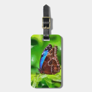 Etiqueta Para Maletas Pintura de mariposa