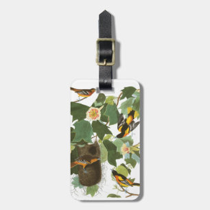 Etiqueta Para Maletas Placa 12 Baltimore Oriole de Audubon