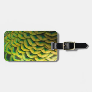 Etiqueta Para Maletas Plumas de Pavo Real II Naturaleza Colorida