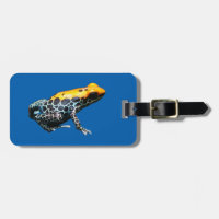 Poison Dart Frog