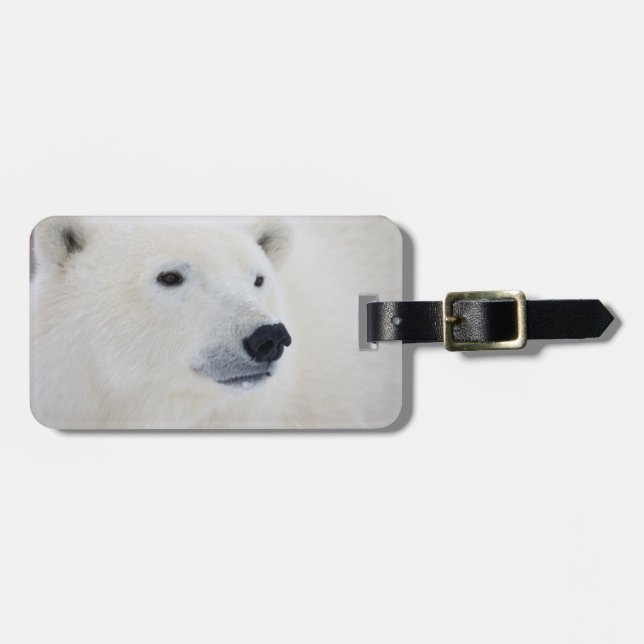 Etiqueta Para Maletas Polar Bear Churchill (Frente Horizontal)