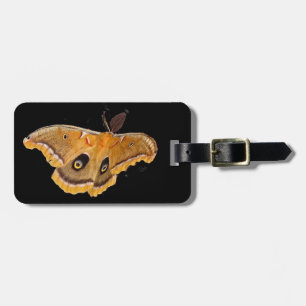 Etiqueta Para Maletas Polilla de Polyphemus