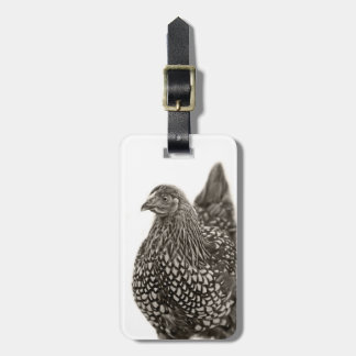 Etiqueta Para Maletas Pollo Wyandotte dorado