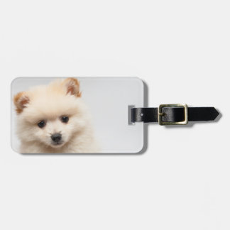 Etiqueta Para Maletas Pomeranian demasiado lindo