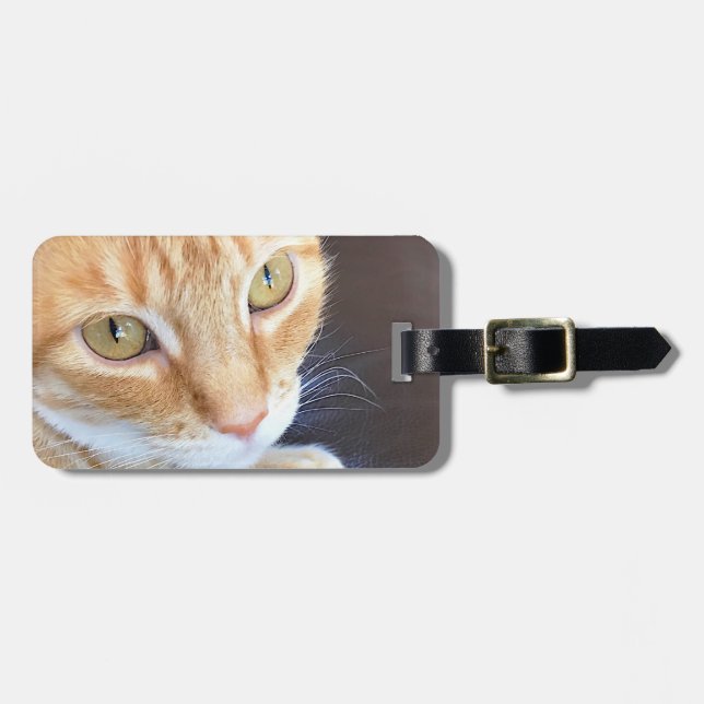 Etiqueta Para Maletas Primer anaranjado del gato (Frente Horizontal)