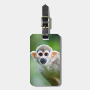 Etiqueta Para Maletas Primer de un mono de ardilla común