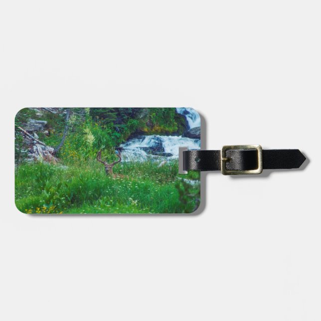 Etiqueta Para Maletas Príncipe de la Selva (Frente Horizontal)