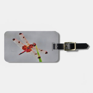 Etiqueta Para Maletas Producto personalizar
