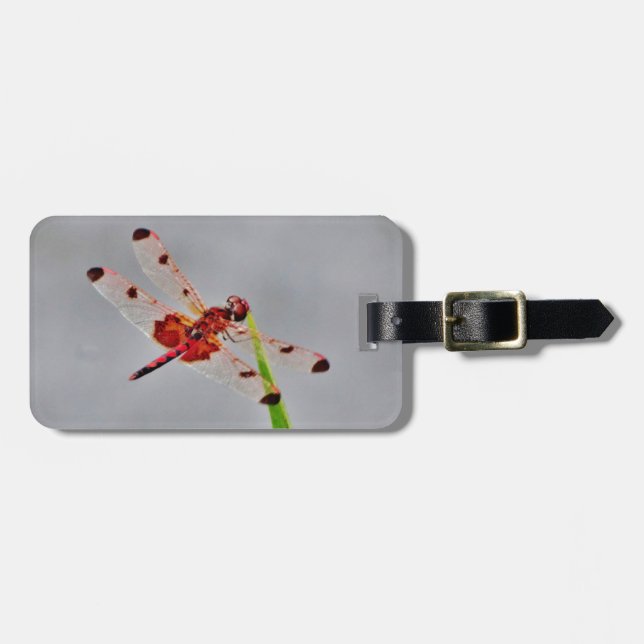 Etiqueta Para Maletas Producto personalizar (Frente Horizontal)