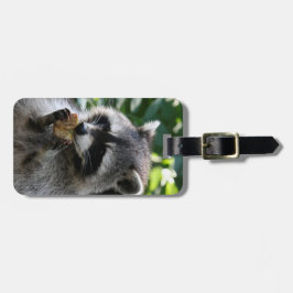 Etiqueta Para Maletas Raccoon_2015_0116