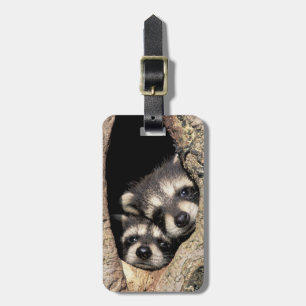 Etiqueta Para Maletas Raccoons para bebés en cavidad de árbol Procyon