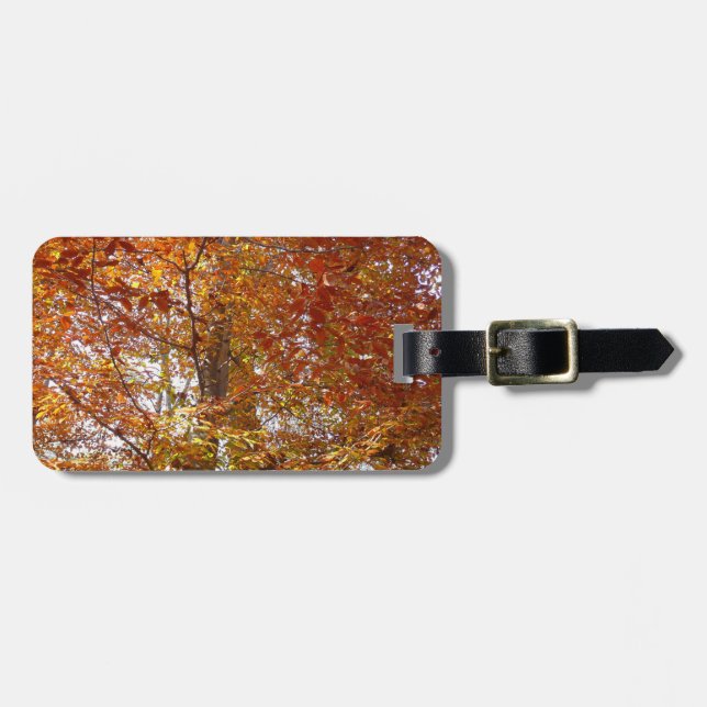 Etiqueta Para Maletas Ramas de Naranja abandonan la naturaleza otoñal (Frente Horizontal)