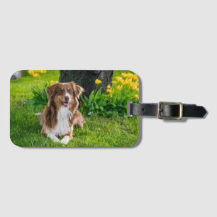 Etiqueta Para Maletas Recuerdo de Foto de Mascota Personalizado para Ama