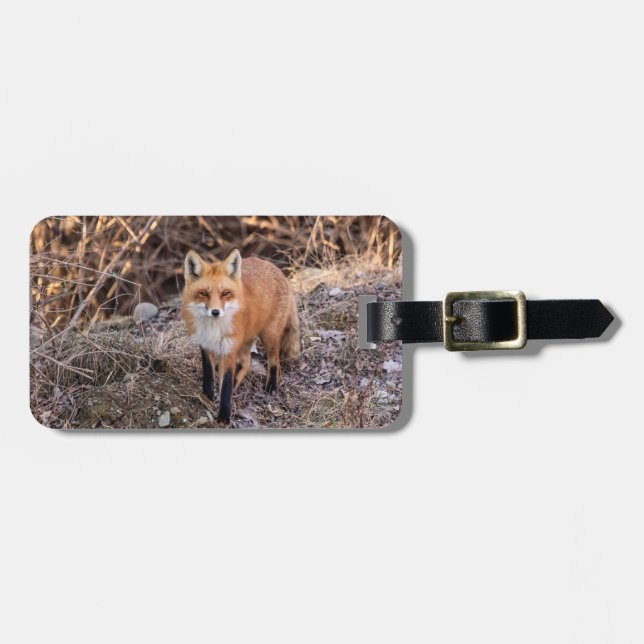Etiqueta Para Maletas Red Fox cerca y personal (Frente Horizontal)