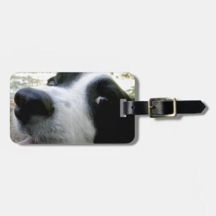 Etiqueta Para Maletas Regalos del border collie