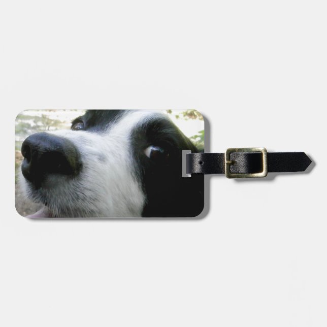 Etiqueta Para Maletas Regalos del border collie (Frente Horizontal)