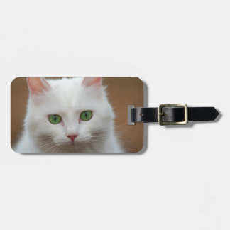 Etiqueta Para Maletas Retrato blanco de ojos verdes hermoso del gato