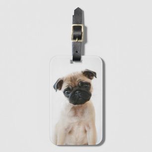 Etiqueta Para Maletas Retrato de Baby Pug