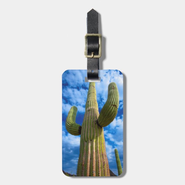 Etiqueta Para Maletas Retrato de cactus de Saguaro, Arizona (Frente Vertical)