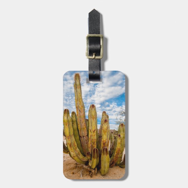 Etiqueta Para Maletas Retrato de Cactus, México (Frente Vertical)