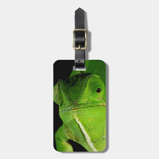 Etiqueta Para Maletas Retrato De Chameleon Con Cuello Flap (Frente Vertical)