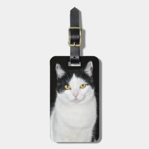 Etiqueta Para Maletas Retrato de gato negro y blanco