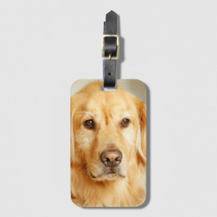 Etiqueta Para Maletas Retrato de Golden Retriever