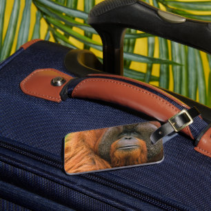 Etiqueta Para Maletas Retrato de Orangután macho, Georgia, EE. UU.